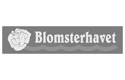 Högtalare - Trådlöst ljud till butik