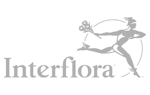 Högtalare - Trådlöst ljud till butik