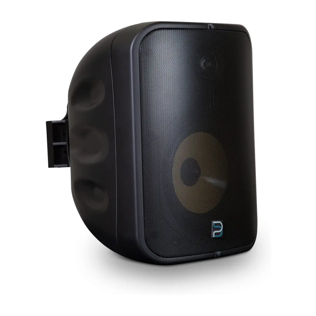 Bluesound Professional BSP1000 nätverkshögtalare i svart